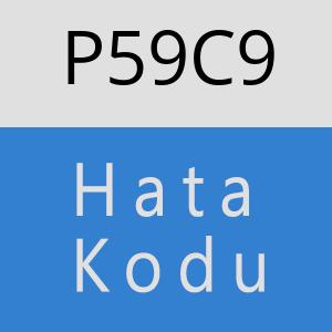 P59C9 hatasi