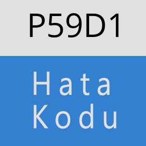 P59D1 hatasi