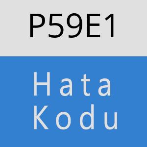 P59E1 hatasi