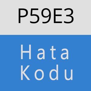 P59E3 hatasi