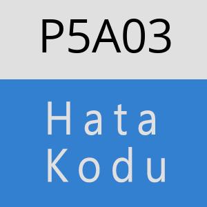 P5A03 hatasi