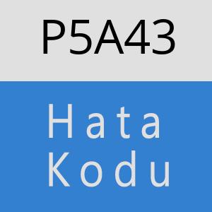 P5A43 hatasi