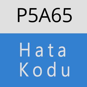 P5A65 hatasi