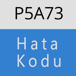 P5A73 hatasi