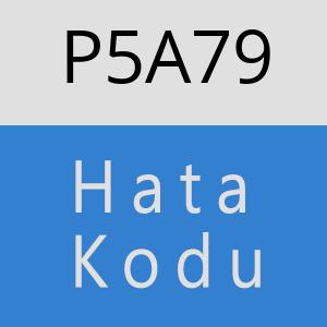 P5A79 hatasi