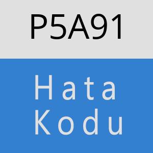 P5A91 hatasi