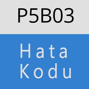 P5B03 hatasi