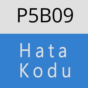 P5B09 hatasi