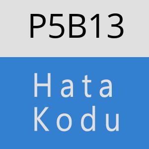 P5B13 hatasi