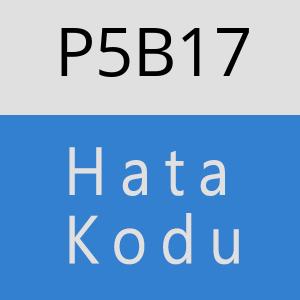 P5B17 hatasi