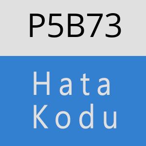 P5B73 hatasi