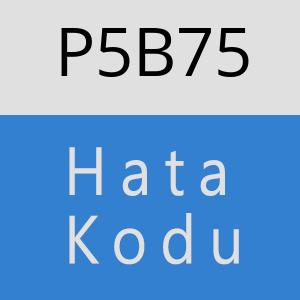 P5B75 hatasi