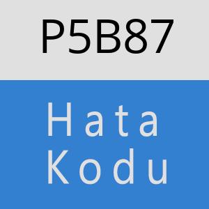 P5B87 hatasi