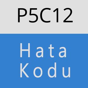 P5C12 hatasi