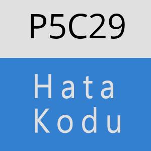 P5C29 hatasi