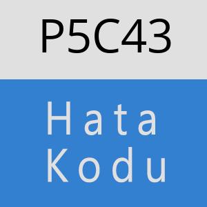 P5C43 hatasi