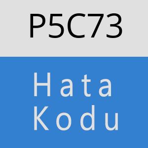 P5C73 hatasi