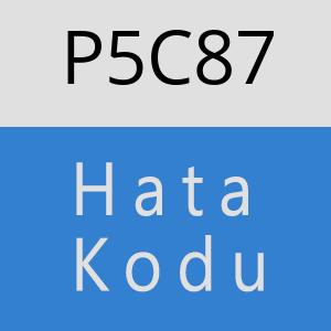 P5C87 hatasi