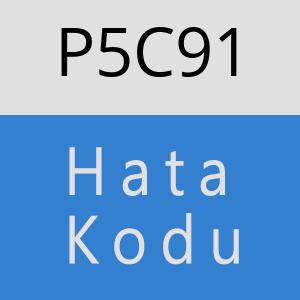 P5C91 hatasi