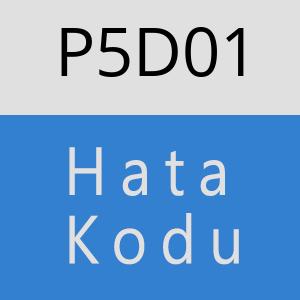 P5D01 hatasi