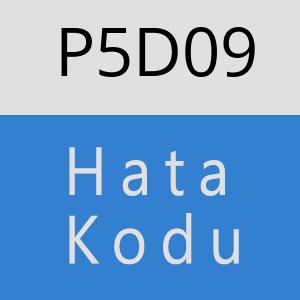 P5D09 hatasi