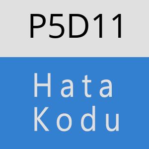 P5D11 hatasi