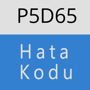 P5D65 hatasi