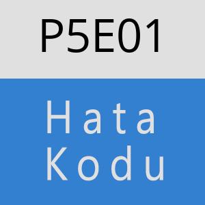 P5E01 hatasi