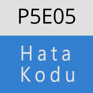 P5E05 hatasi