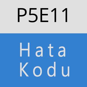 P5E11 hatasi