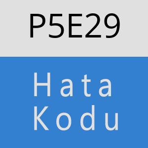 P5E29 hatasi