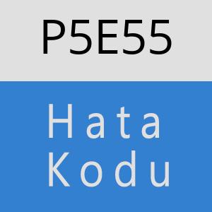 P5E55 hatasi