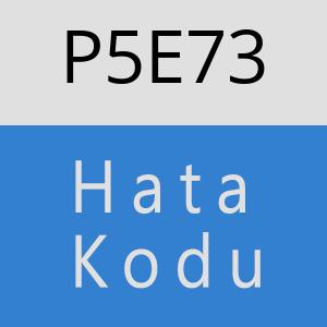 P5E73 hatasi