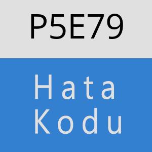 P5E79 hatasi