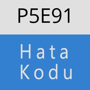 P5E91 hatasi