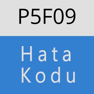 P5F09 hatasi