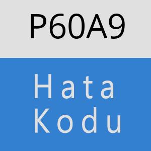 P60A9 hatasi