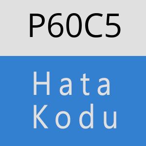 P60C5 hatasi