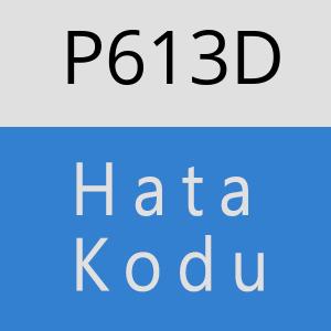 P613D hatasi