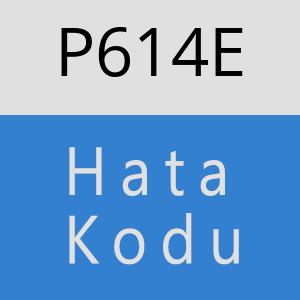 P614E hatasi