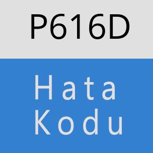 P616D hatasi