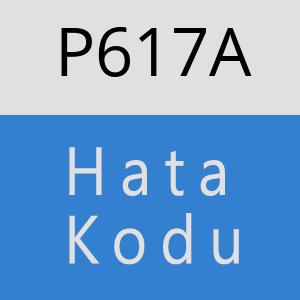 P617A hatasi