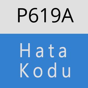 P619A hatasi