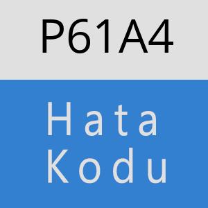 P61A4 hatasi