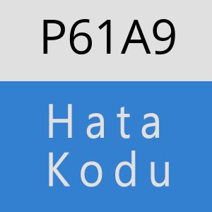 P61A9 hatasi