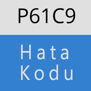 P61C9 hatasi