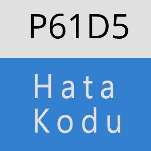 P61D5 hatasi