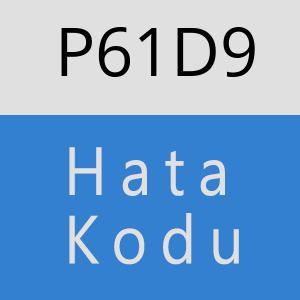 P61D9 hatasi