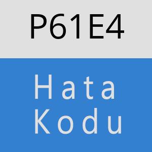 P61E4 hatasi