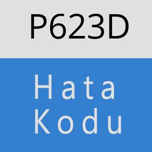 P623D hatasi